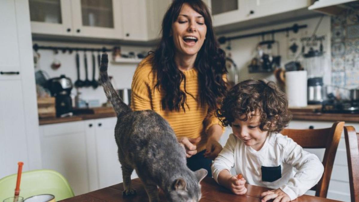 Plenitude, Énergie, Facture moyenne d'électricité en France