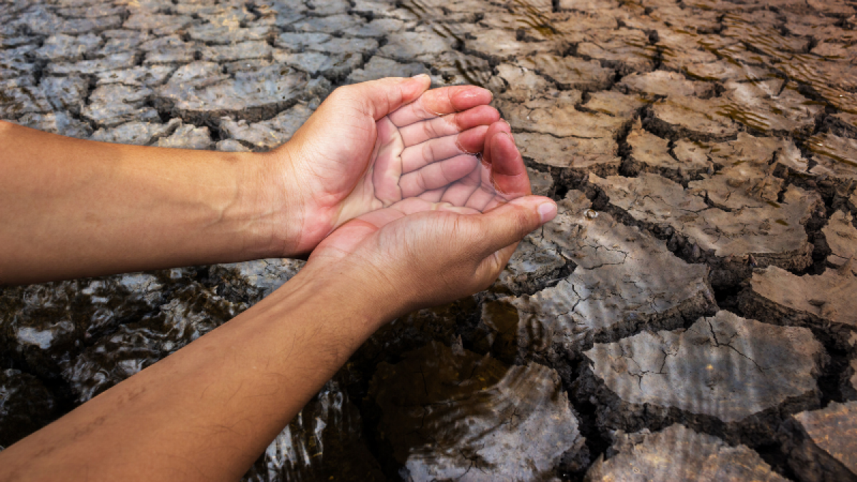 Plenitude, Énergie, Pénurie D'Eau en Egypte