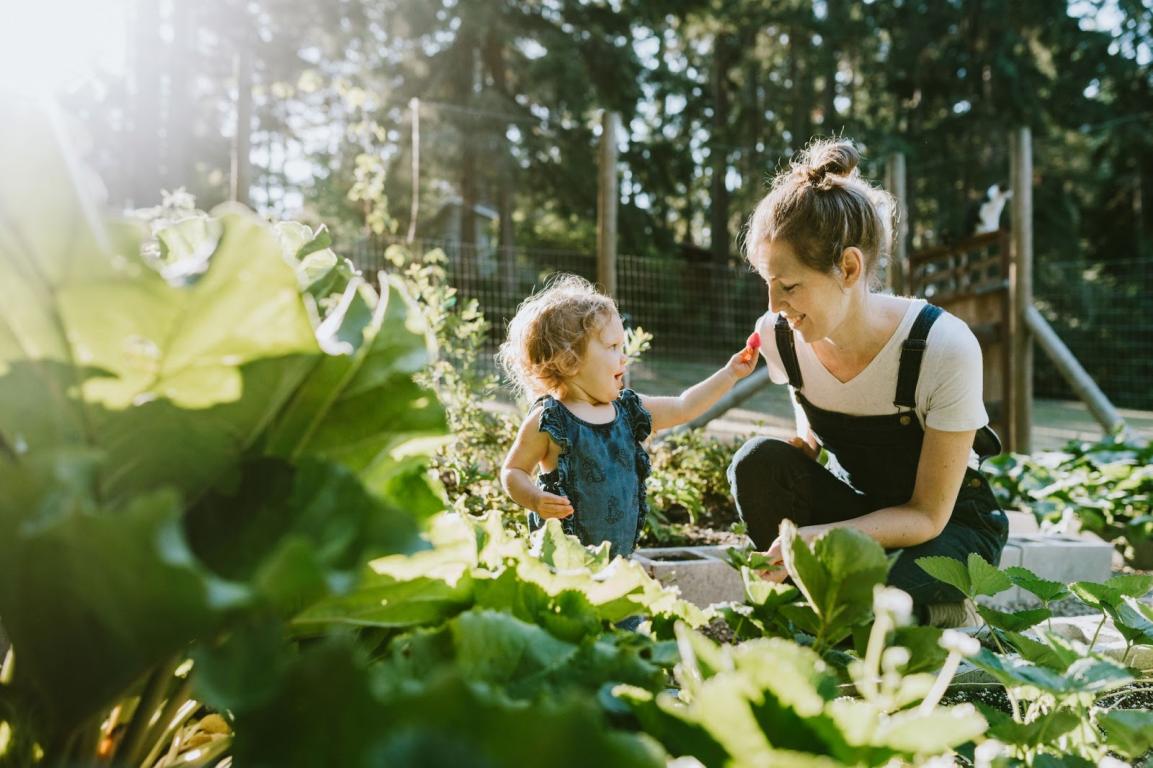 Plenitude, Énergie, Électricité, Offres d'Électricité Verte, Tarifs