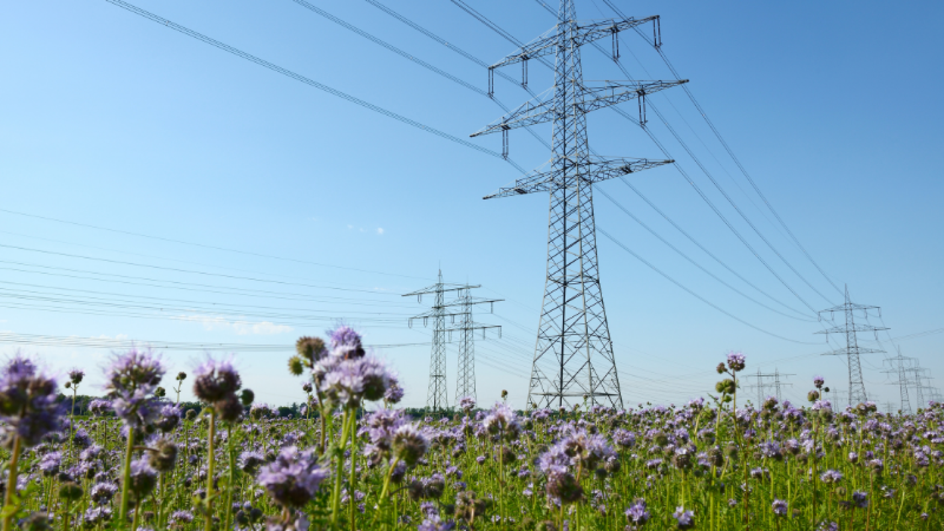 Plenitude, Énergie, Électricité, Le point sur le Marché de l Énergie, 4 questions à nos experts