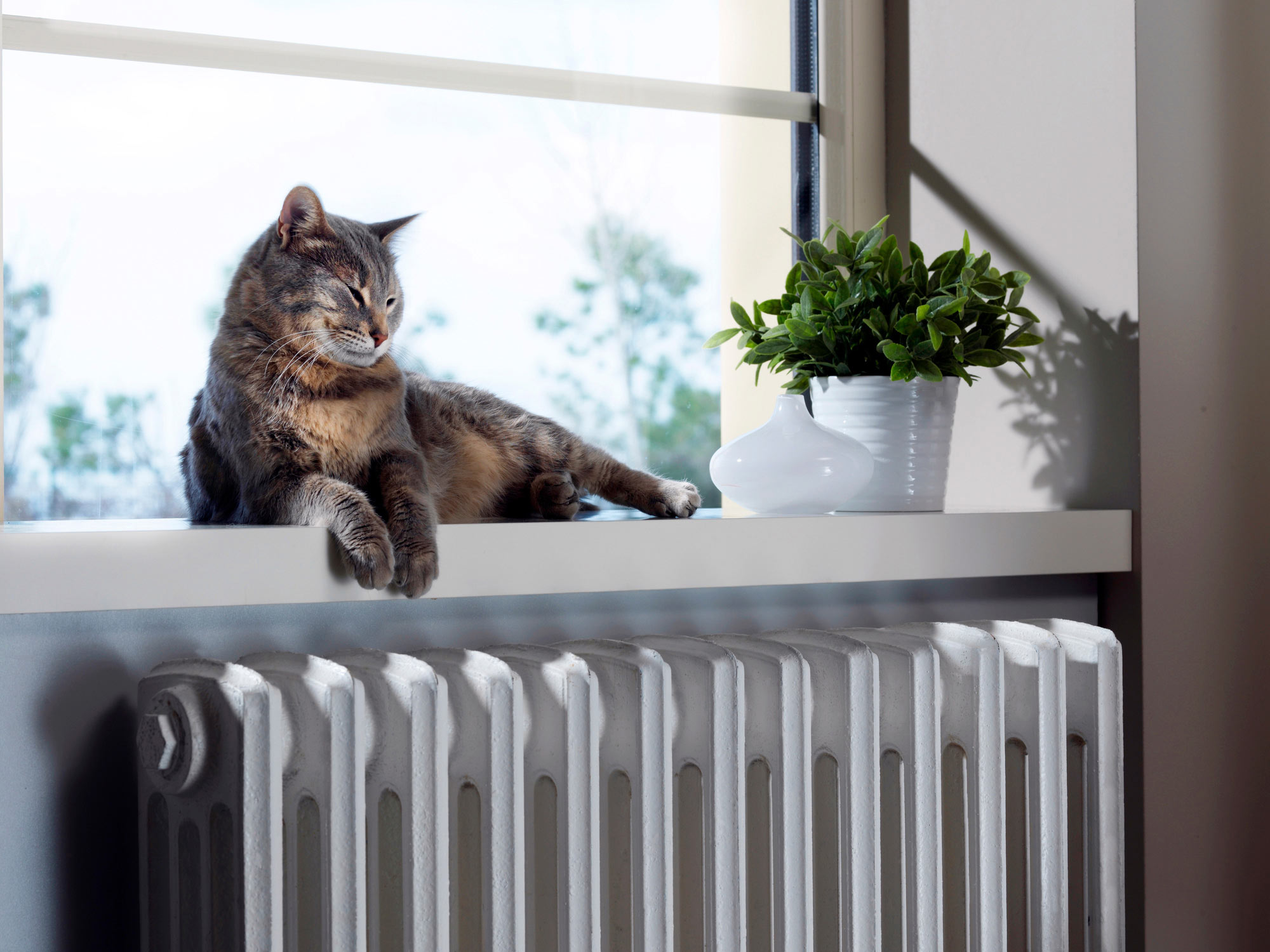 Plenitude-en-lumiere-choisir-la-puissance-du-radiateur.jpg