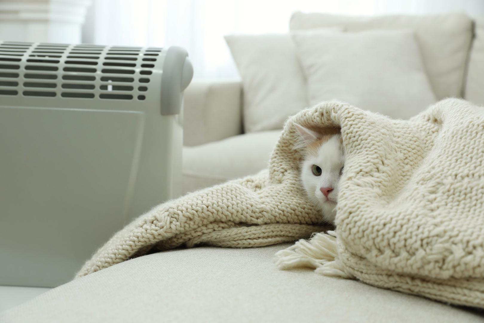 Plenitude, Énergie, Électricité, Radiateur électrique à inertie, Convecteur