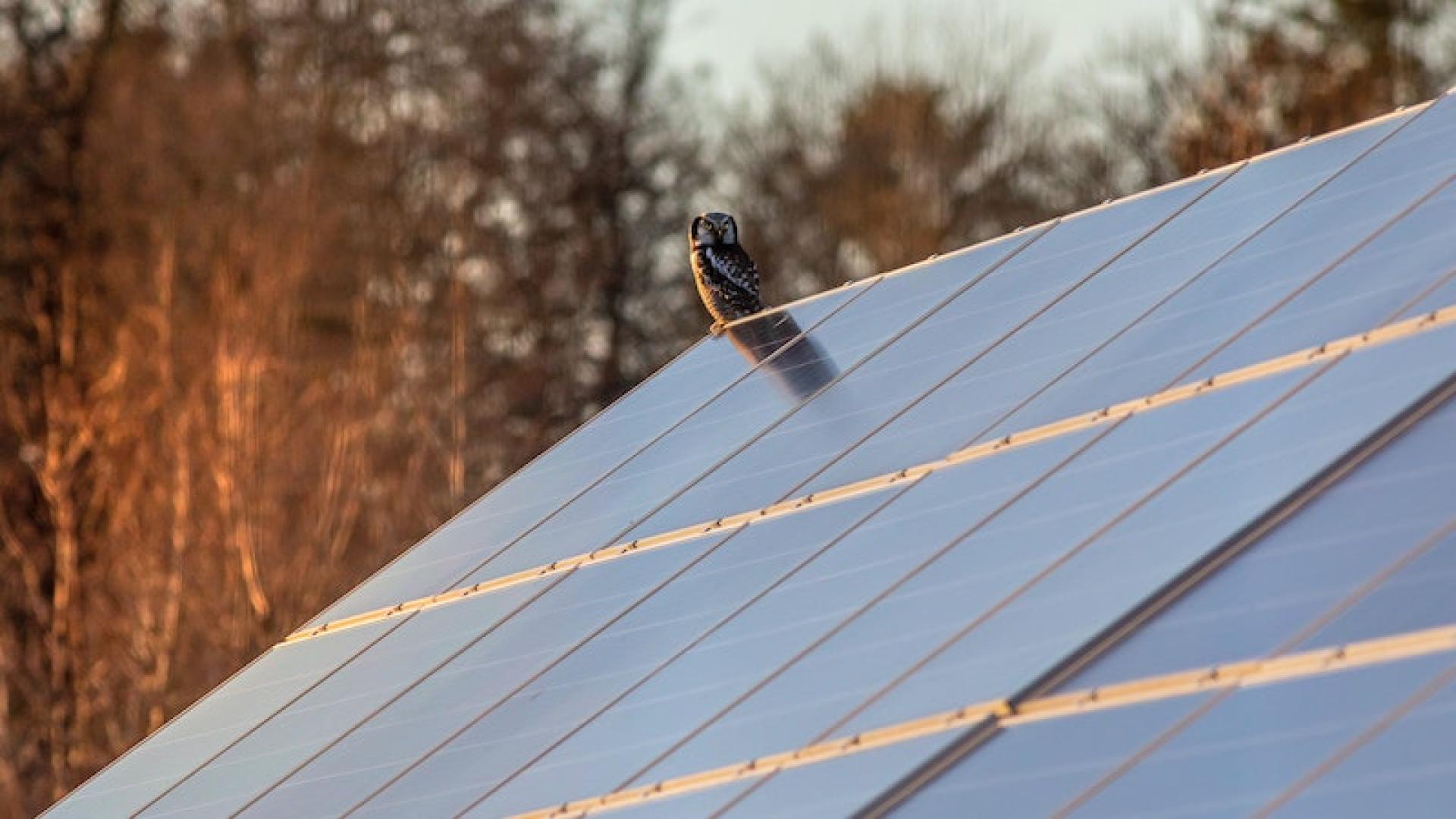 Plenitude, Énergie Solaire Avantages Et Inconvénients